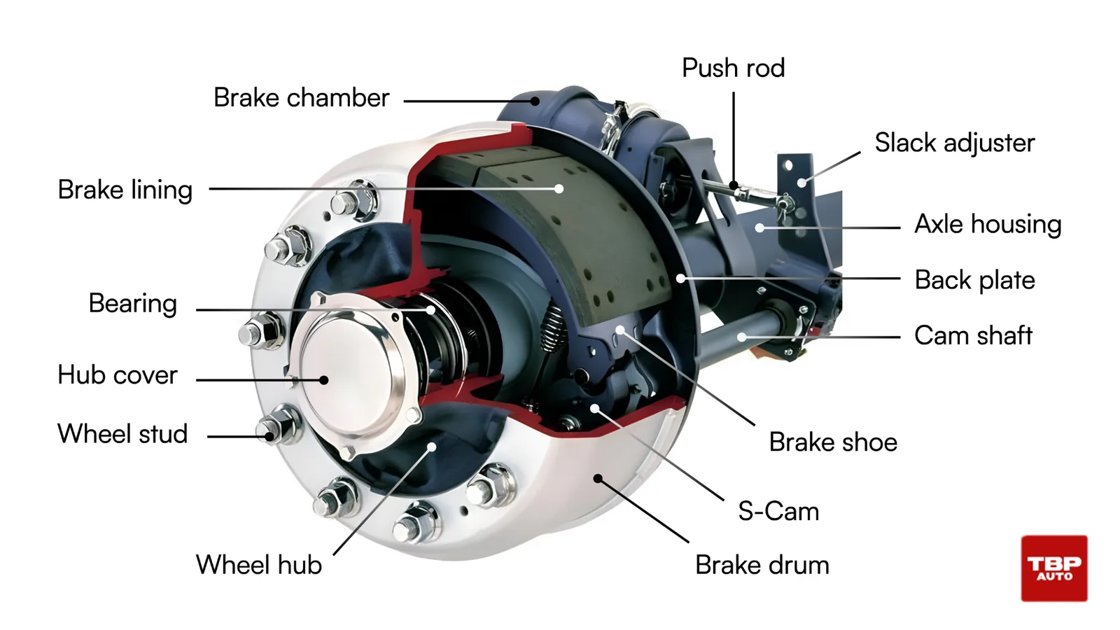 Labeled cutaway diagram of an S-cam air drum brake: brake chamber, pushrod, slack adjuster, camshaft, S-cam, brake shoe and lining, drum, hub, and back plate